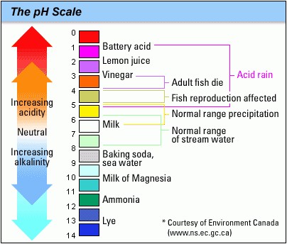 the pH Scale